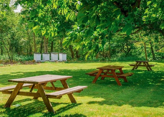 Hotel Morup Molle Bedsted Thy